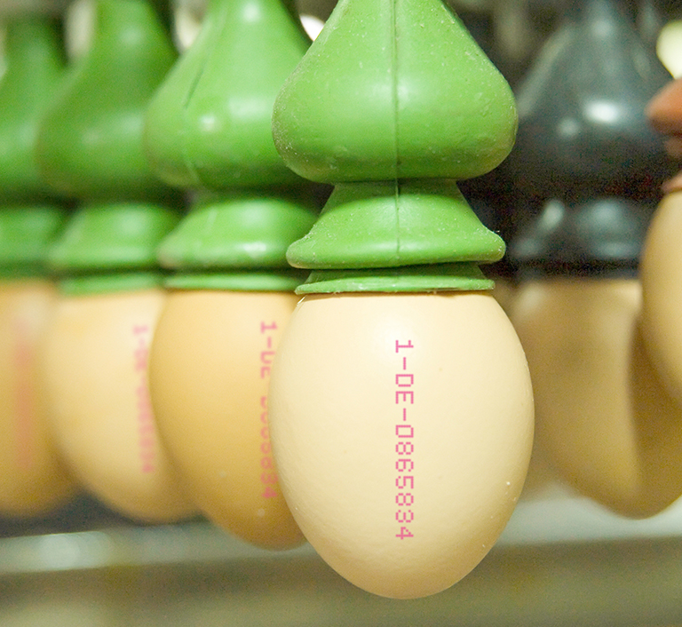 JET 3 UP EP NEO EP - Imagen 7