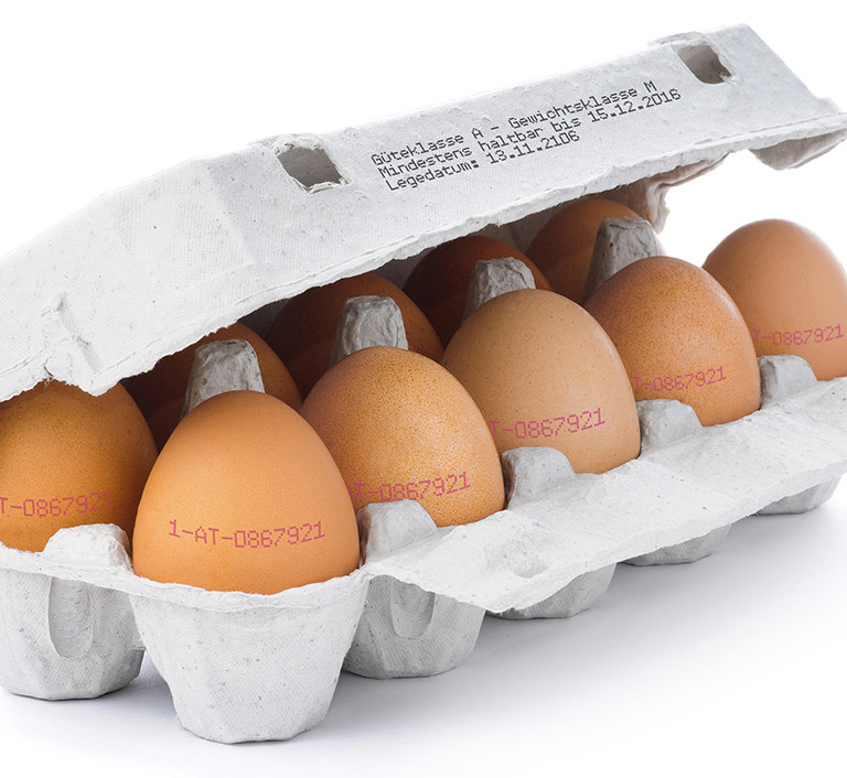 JET 3 UP EP NEO EP - Imagen 6