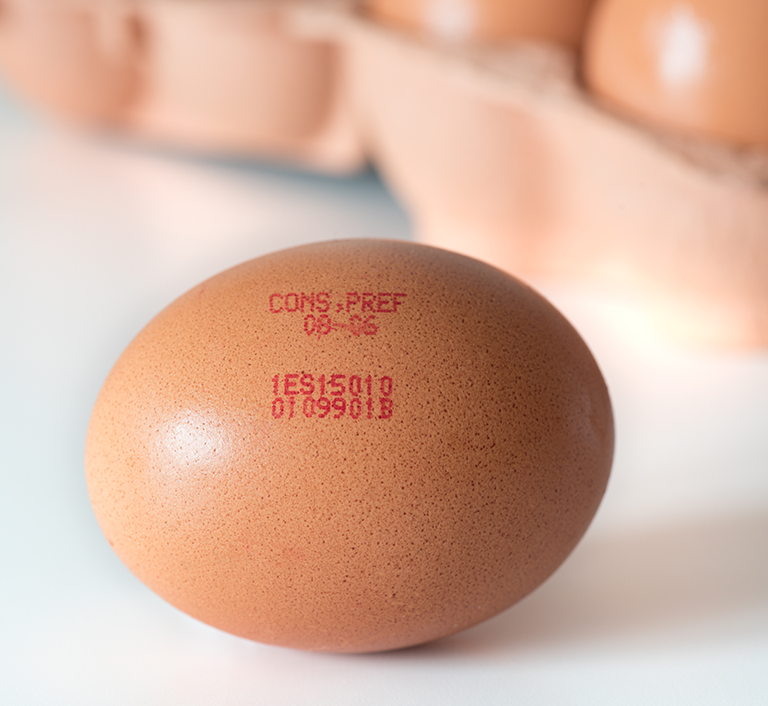 JET 3 UP EP NEO EP - Imagen 5