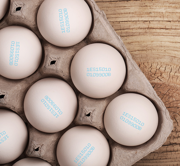 JET 3 UP EP NEO EP - Imagen 4