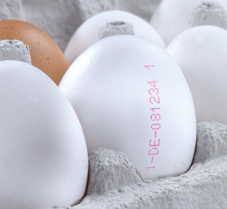 JET 3 UP EP NEO EP - Imagen 2