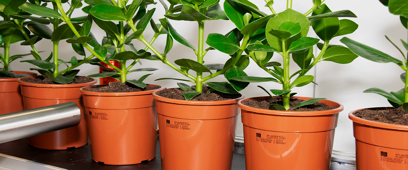 JET 2 NEO - Imagen 5