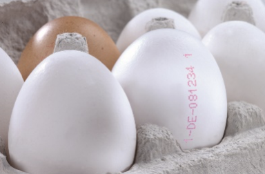 Jet 2 NEO EP - Imagen 3